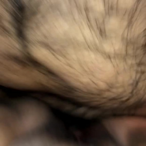 Video by jayyxoo published on March 23,2023 13:17:00 - BestThots