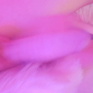 Video by dietlust published on June 27,2023 11:30:00 - BestThots