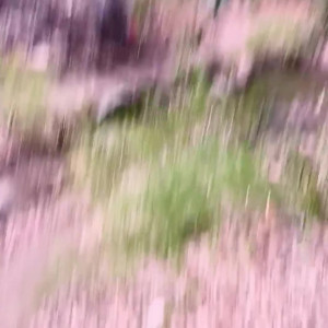 Video by lisanoppv published on April 26,2023 21:23:00 - BestThots