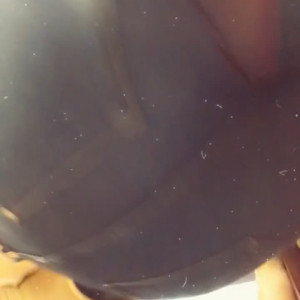 Video by npczoey published on April 14,2023 19:29:00 - BestThots