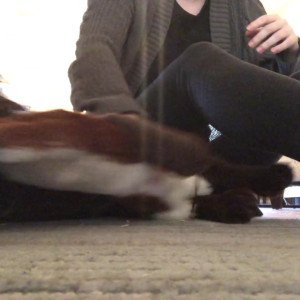 Video by scarlett-sage published on June 2,2023 17:58:00 - BestThots