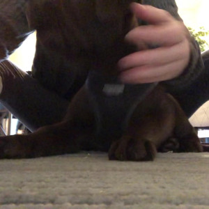 Video by scarlett-sage published on July 12,2023 03:58:00 - BestThots