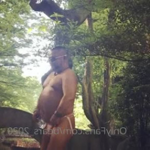 bears_2020 #5360213