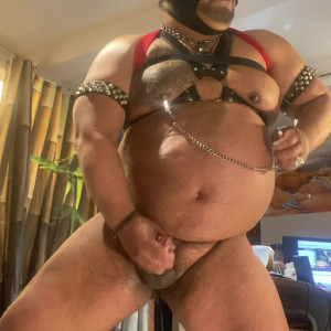 bears_2020 #5444640