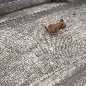 Video by imfaii published on March 9,2023 19:41:00 - BestThots