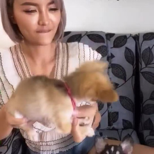 Video by imfaii published on April 13,2023 14:28:00 - BestThots