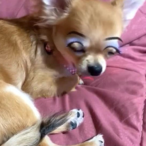 Video by imfaii published on July 16,2023 12:20:00 - BestThots