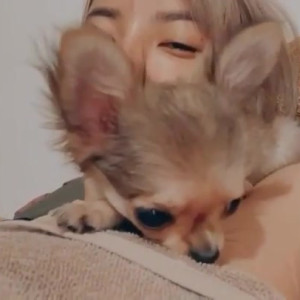 Video by imfaii published on June 6,2023 18:10:00 - BestThots