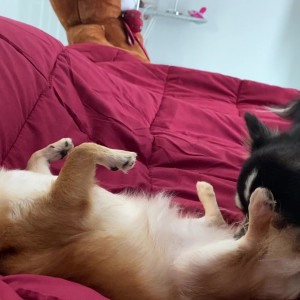 Video by imfaii published on July 19,2023 09:49:00 - BestThots