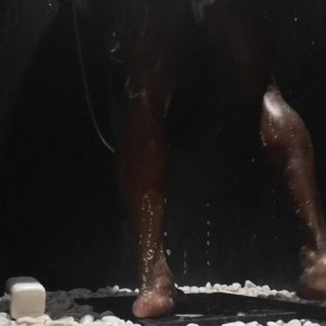 Video by josslescaf published on March 19,2023 04:19:00 - BestThots