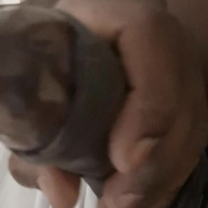 Video by josslescaf published on June 25,2023 14:29:00 - BestThots
