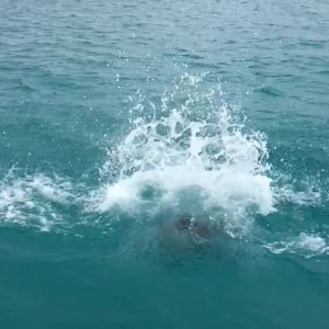 Video by josslescaf published on March 12,2023 05:56:00 - BestThots