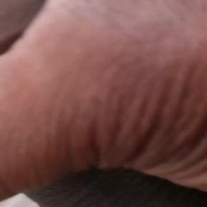 Video by josslescaf published on March 26,2023 14:20:00 - BestThots