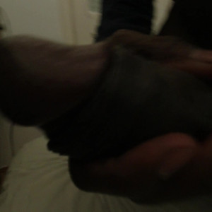 Video by josslescaf published on April 10,2023 19:52:00 - BestThots