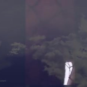 Video by kweenflaxi published on March 5,2023 14:06:00 - BestThots