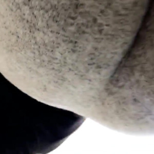 Video by sophiedeelive published on June 4,2023 12:35:00 - BestThots