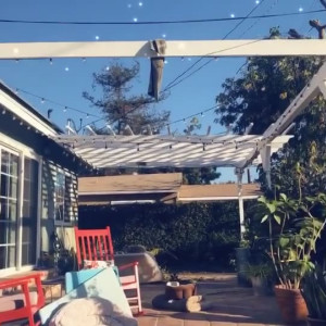 Video by sophiedeelive published on July 23,2023 07:59:00 - BestThots