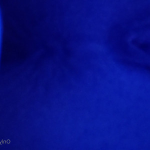 Video by rainbowzlut published on June 18,2023 04:20:00 - BestThots