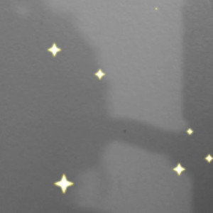 Video by shr00mfairy published on March 3,2023 19:21:00 - BestThots