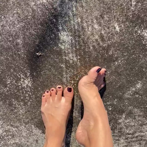 eurasian_feet #3520320