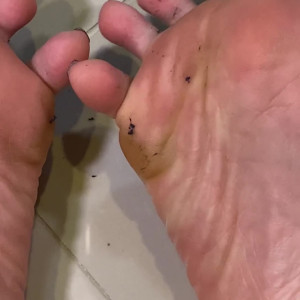 Video by eurasian_feet published on July 1,2023 11:22:00 - BestThots