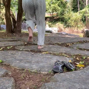 eurasian_feet #9146017