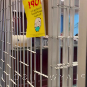 Video by xsofiasunshine published on May 17,2023 00:02:00 - BestThots