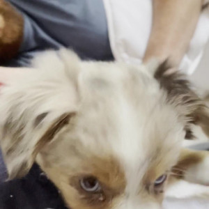 Video by xsofiasunshine published on April 9,2023 05:51:00 - BestThots