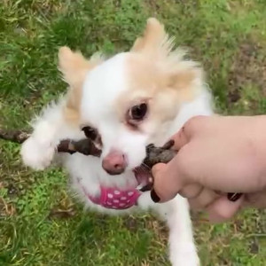 Video by xsofiasunshine published on April 16,2023 05:11:00 - BestThots