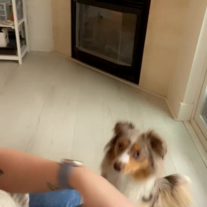 Video by xsofiasunshine published on June 14,2023 17:58:00 - BestThots