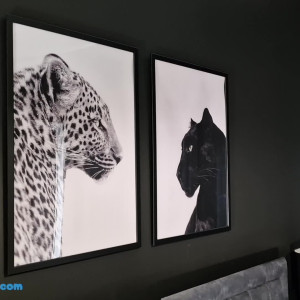 hotwife-rosa #3520613