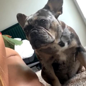 Video by headdoctort published on May 11,2023 16:26:00 - BestThots