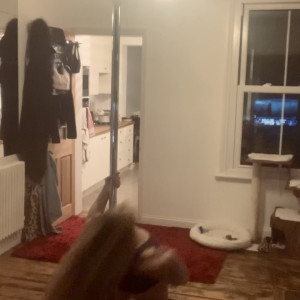 Video by kittypawg published on June 16,2023 06:55:00 - BestThots
