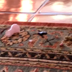 Video by yaqlin_pqin69 published on July 14,2023 06:08:00 - BestThots