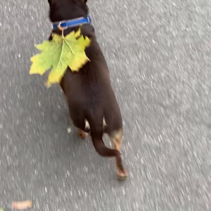 Video by euphoriakush.h published on May 25,2023 19:08:00 - BestThots