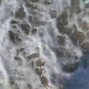 Video by liz_moonz published on March 13,2023 02:32:00 - BestThots