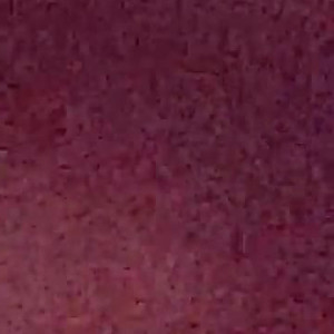 Video by liz_moonz published on August 5,2023 07:06:00 - BestThots