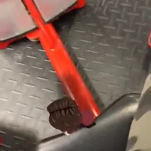 Video by liz_moonz published on July 28,2023 09:31:00 - BestThots