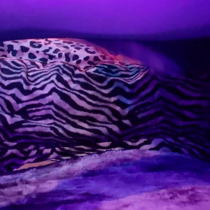 Video by rayraysugarbutt published on July 29,2023 02:36:00 - BestThots