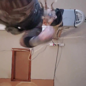 Video by rayraysugarbutt published on March 8,2023 00:24:00 - BestThots