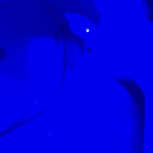 Video by arilaviee published on June 6,2023 01:46:00 - BestThots