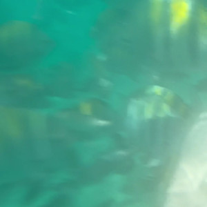 Video by capriceg92 published on March 30,2023 20:57:00 - BestThots