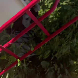 Video by spikeydee published on August 23,2023 09:42:16 - BestThots