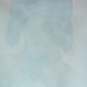 Video by spikeydee published on August 23,2023 09:43:56 - BestThots