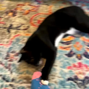 Video by bellecreed published on December 9,2023 21:42:16 - BestThots