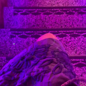 Video by catprincessfeet published on July 29,2023 07:45:00 - BestThots