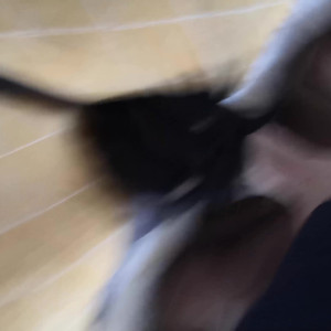 Video by louinheels published on June 26,2023 15:19:00 - BestThots