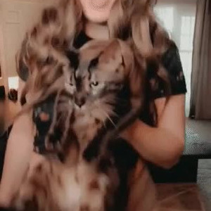 Video by ojeniferann published on March 18,2023 03:53:00 - BestThots