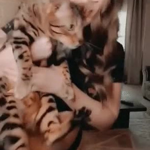 Video by ojeniferann published on July 18,2023 09:33:00 - BestThots