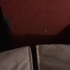 Video by simonesavage published on July 22,2023 17:16:00 - BestThots